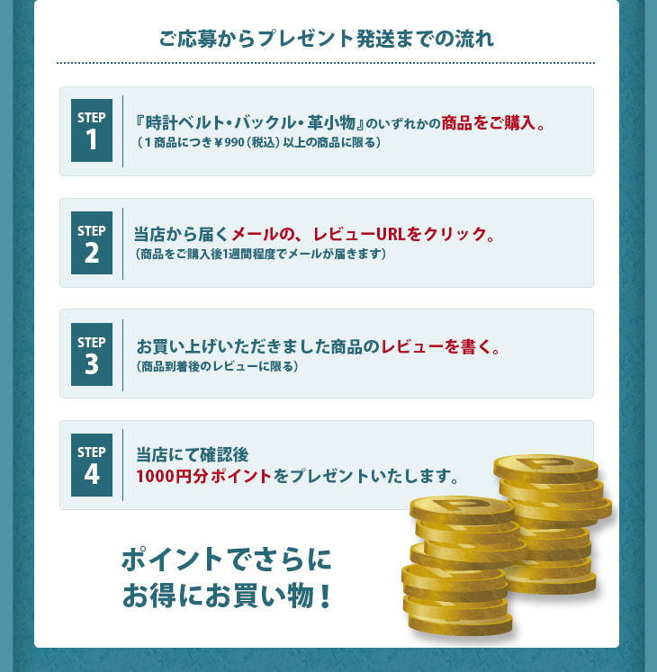 レビューを書いて1000ポイントプレゼント