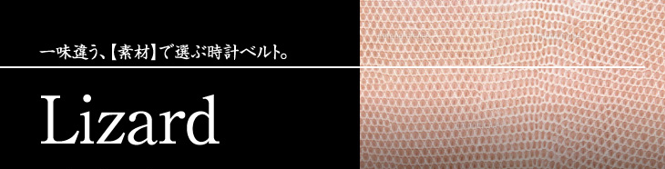 リザード（トカゲ）