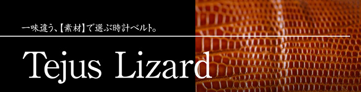 テジュ・リザード