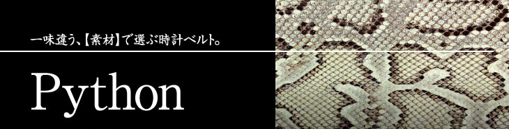 パイソン（ヘビ）