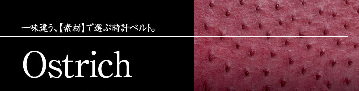 オーストリッチ（ダチョウ）