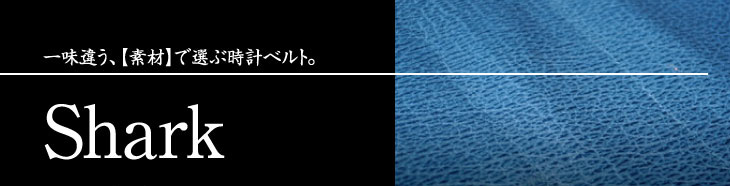 シャーク（サメ）