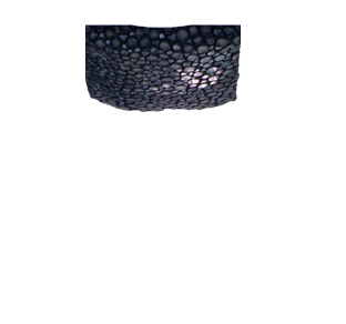 019