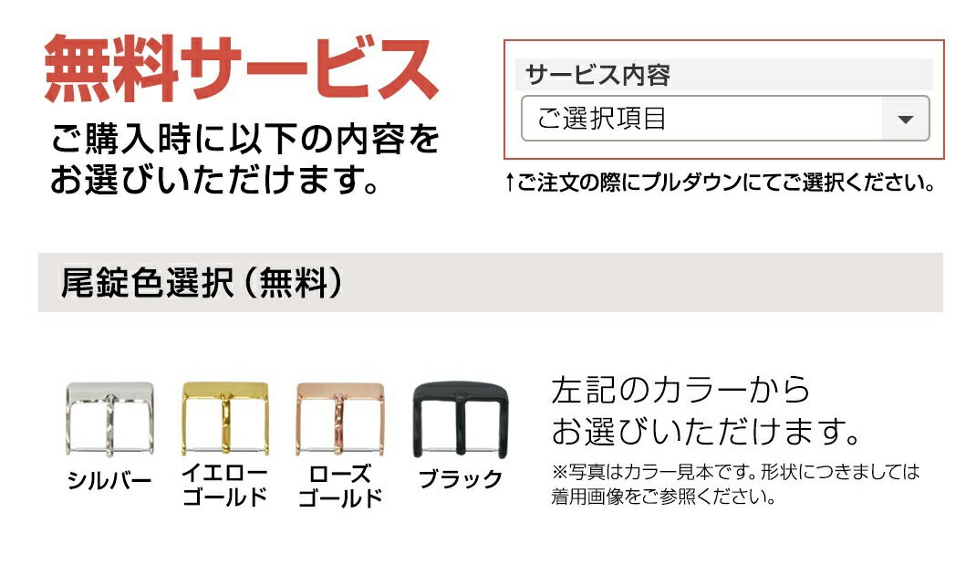 ガーミン ヴェニュー エスキュー2 用 GARMIN Venu SQ 2 スマートウォッチ にぴったりの CASSIS カシス 完全防水 AMIENS アミアン 20mm 