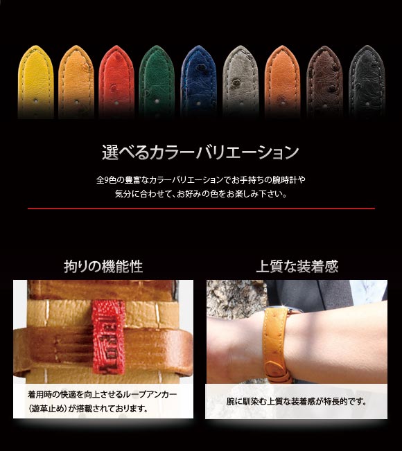 STRAUSS（ストラウス）