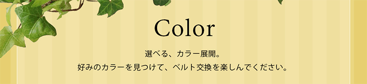好みのカラーを見つけて、新しいダニエルウェリントンを楽しんでください。