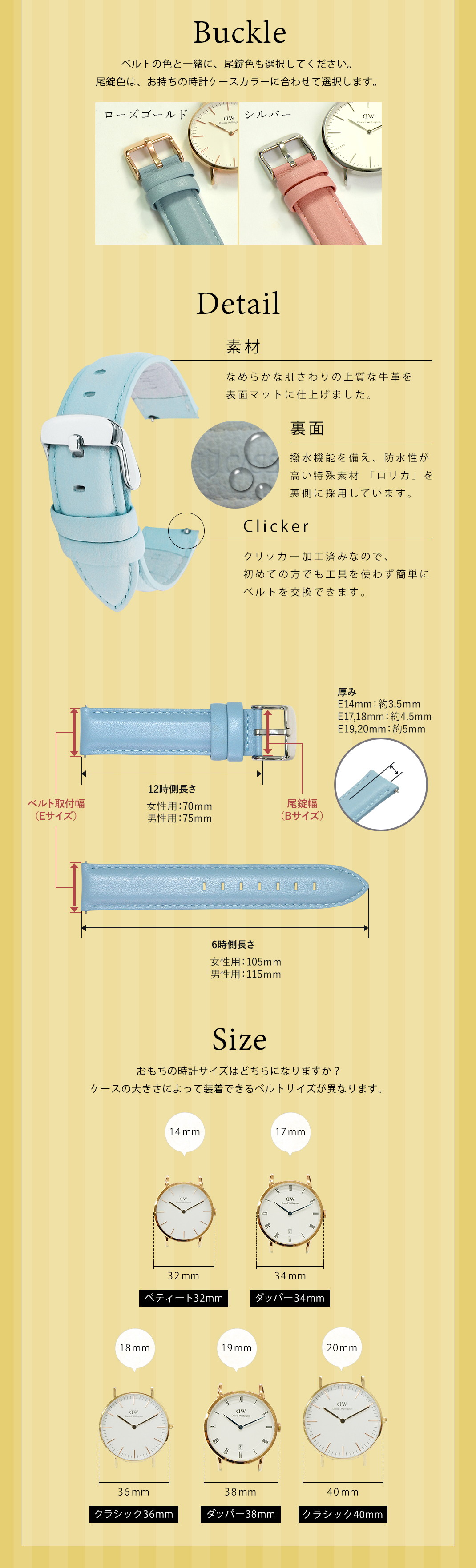 タイプディーダブリュー カラーバリエーション スペック
