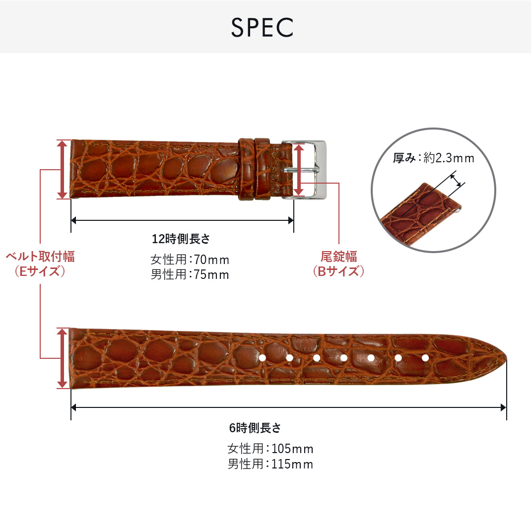 BRISTOL(ブリストール) スペック