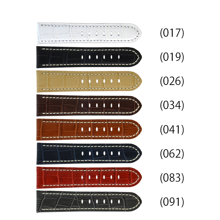 CASSIS TYPE PAN カラーバリエーション