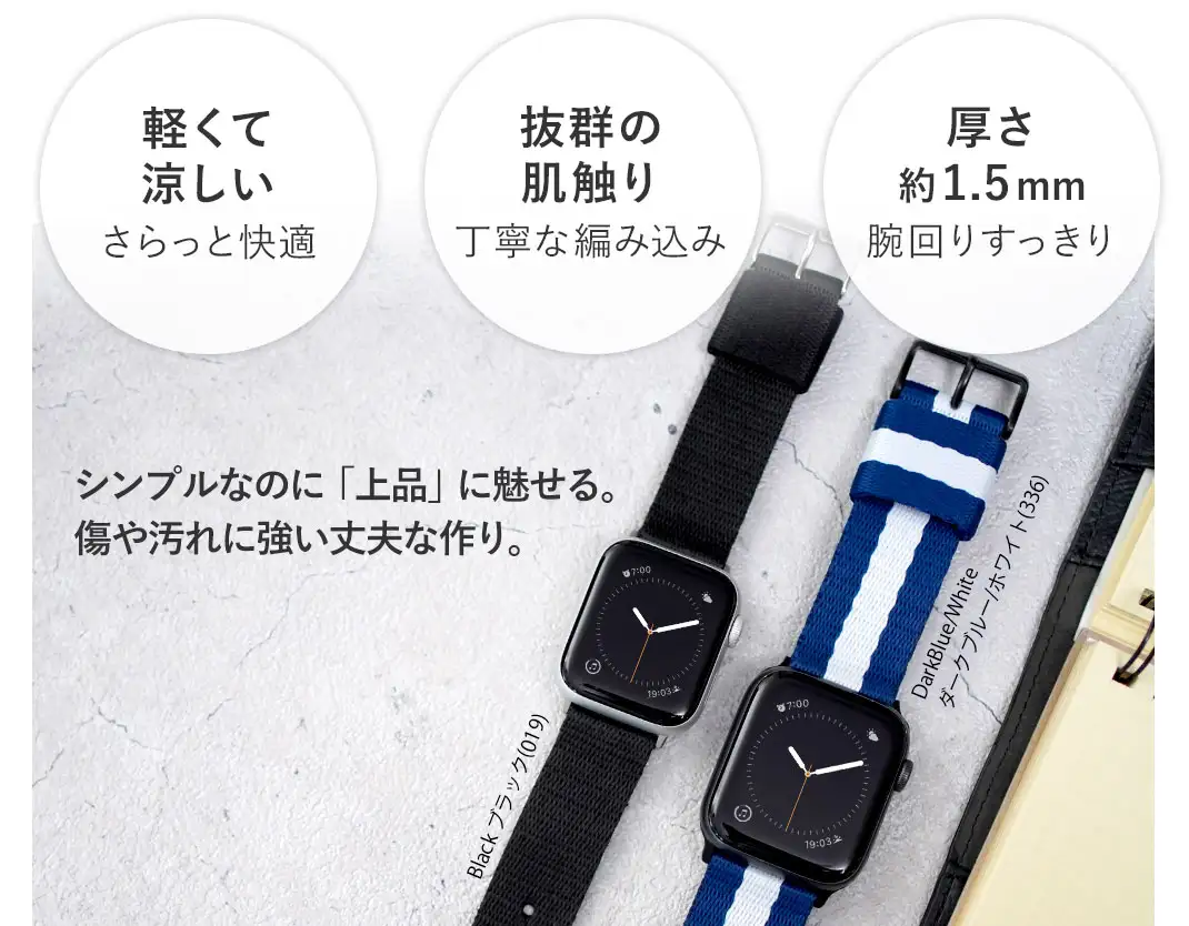 ニース 多彩なカラー