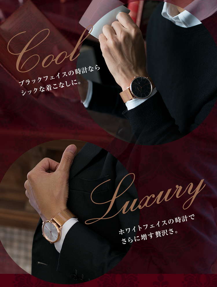 ジェアルシード装着イメージとカラー