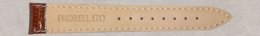 VIOLINO(ビオリノ)