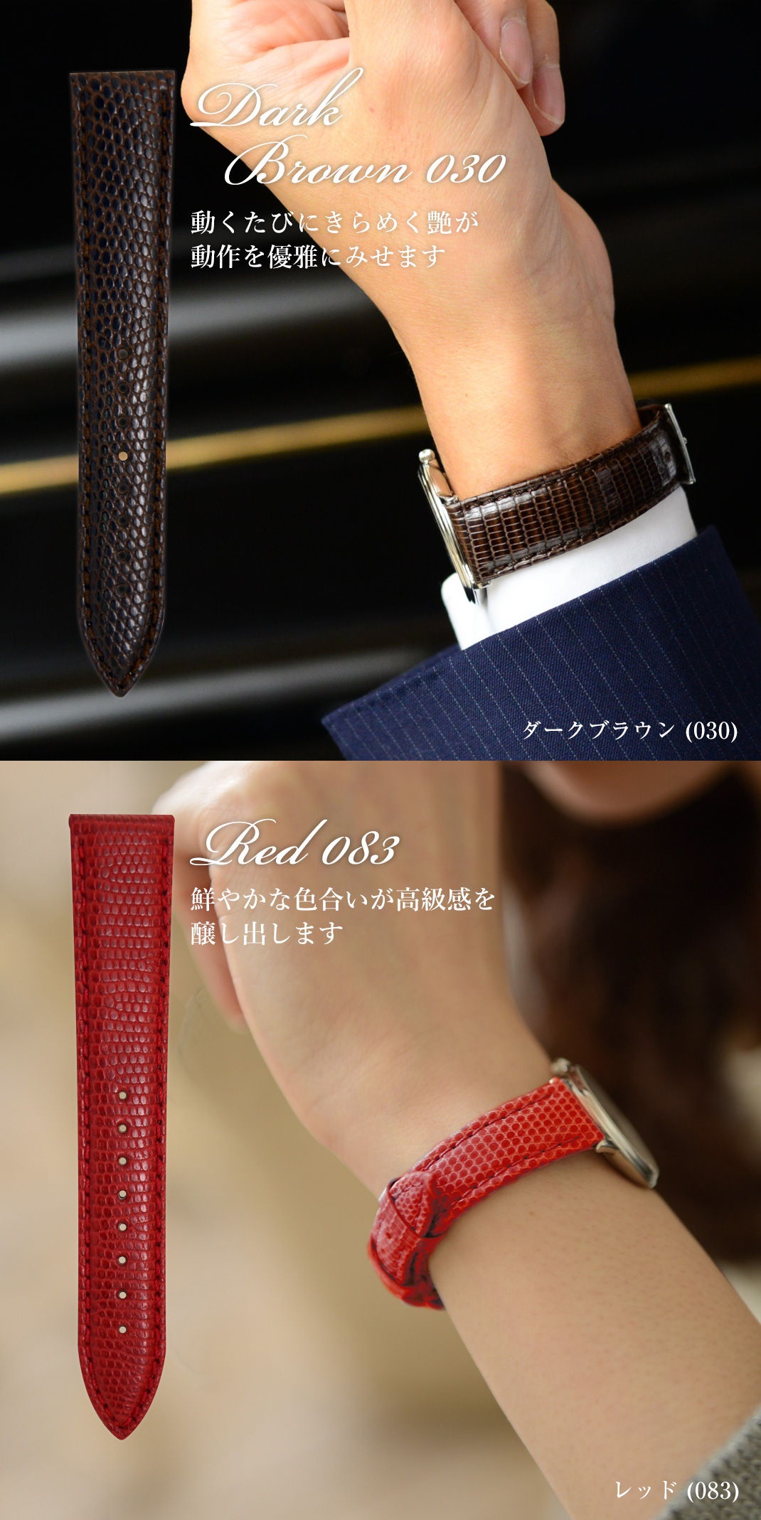 VIOLINO(ビオリノ)