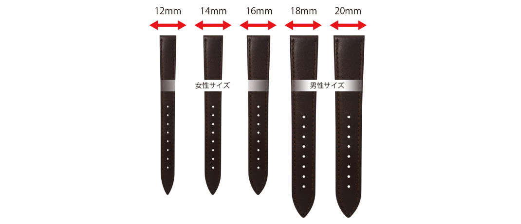 サイズバリエーション