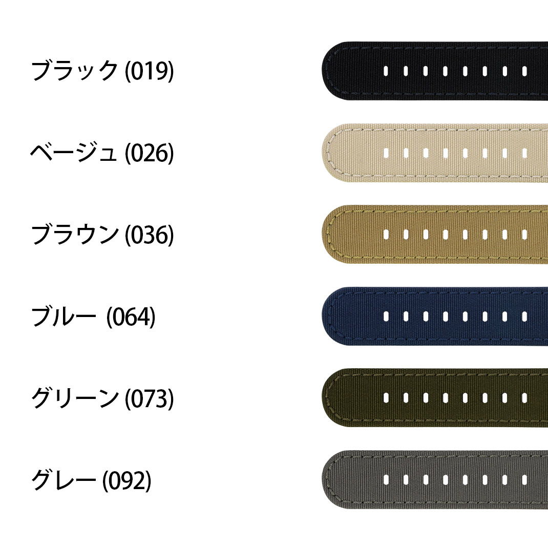 VIAREGGIO(ビアレッジョ)