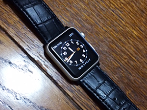 アップルとBOLLE（ボーレ)を組み合わせたお客様