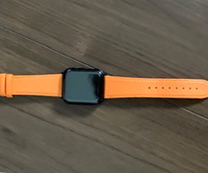 LORICA(ロリカ)とアップル ウォッチ Series 5 44mmを組み合わせたお客様