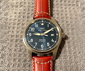 GUTTUSO(グットゥーゾ)とアイ・ダブリュー・シー マーク18 プティプランスを組み合わせたお客様