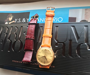 SAMBA(サンバ)とジャガールクルトを組み合わせたお客様