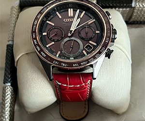 GUTTUSO(グットゥーゾ )とシチズン アテッサを組み合わせたお客様