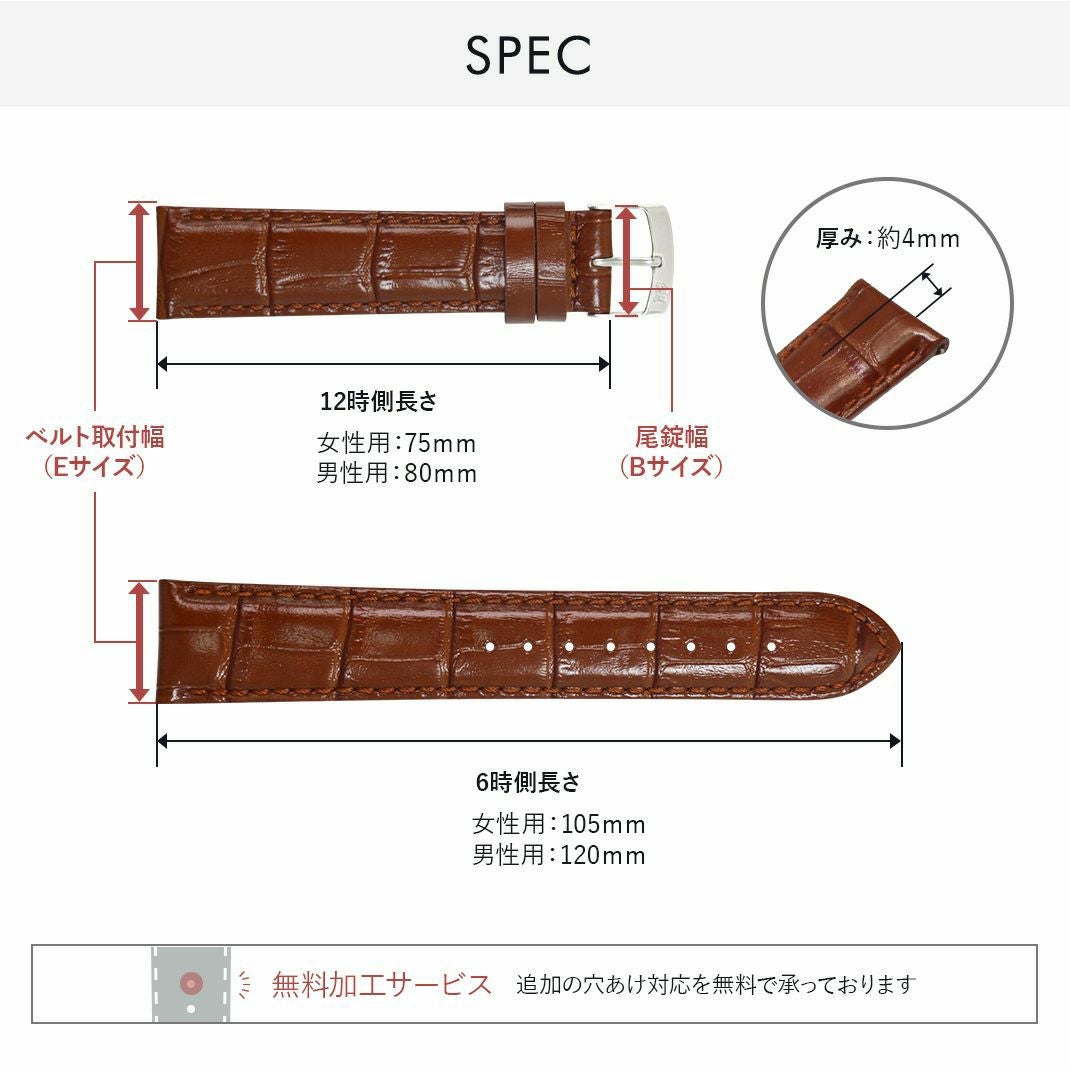 SAMBA (サンバ)スペック