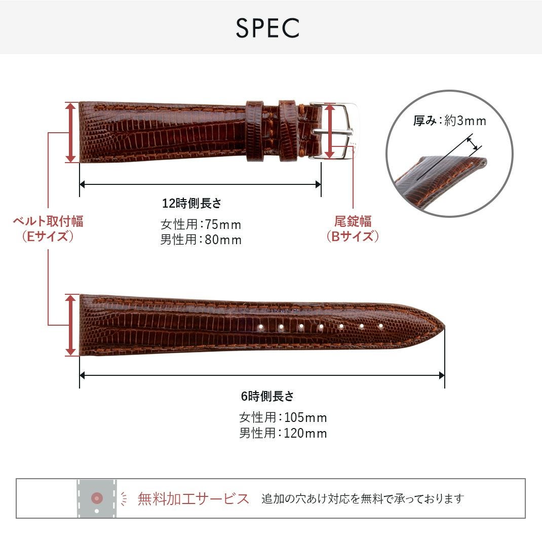 VOLTERRA(ボルテラ) スペック