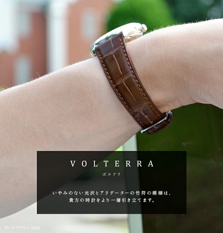 MORELLATO モレラート VOLTERRA ボルテラ アリゲーター ワニ革 時計 MORELLATO モレラート VOLTERRA ボルテラ アリゲーター ワニ革 時計