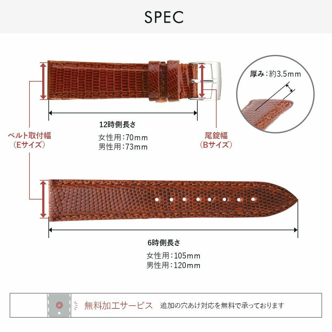 VIOLINO(ビオリノ) スペック