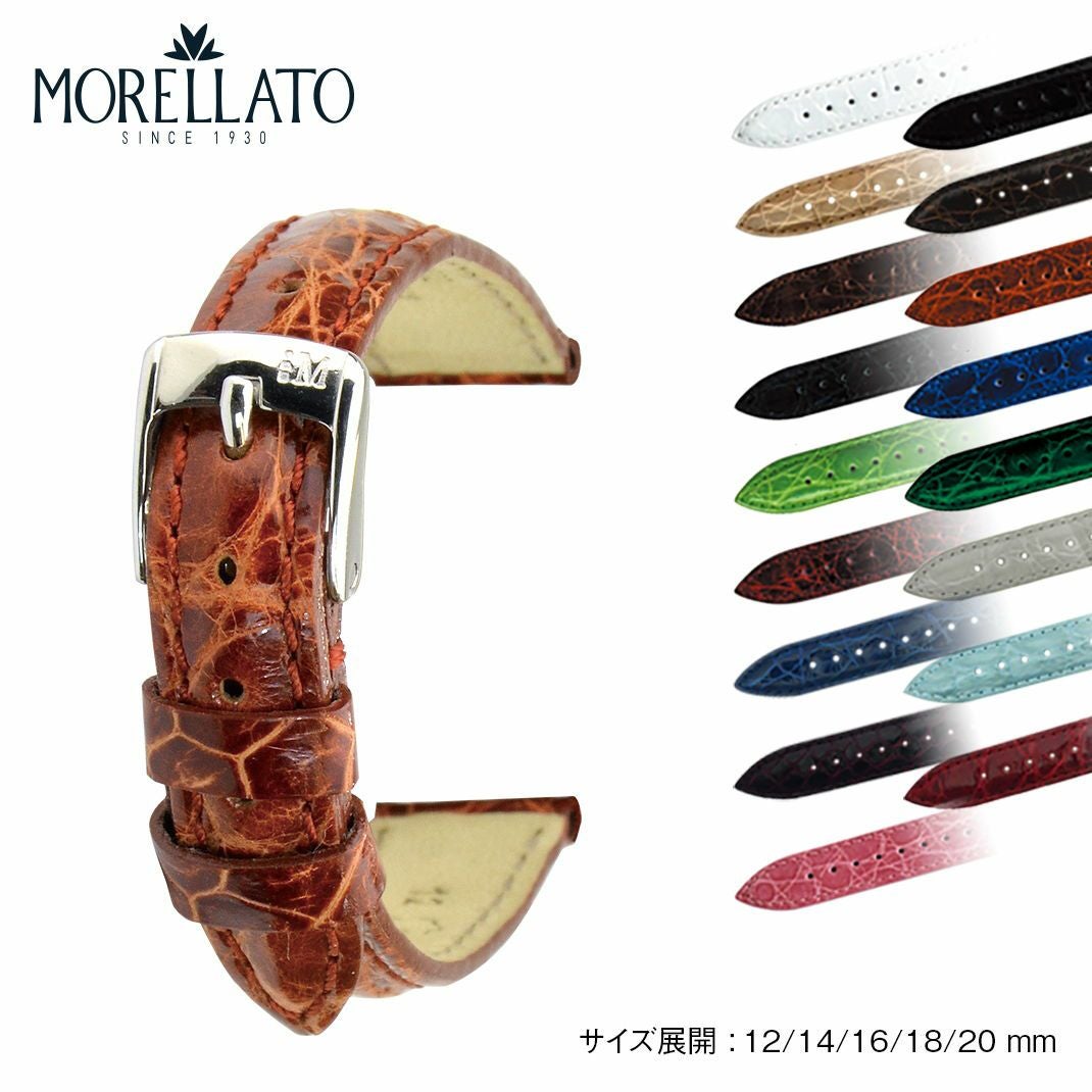 TRACY(トレイシー)