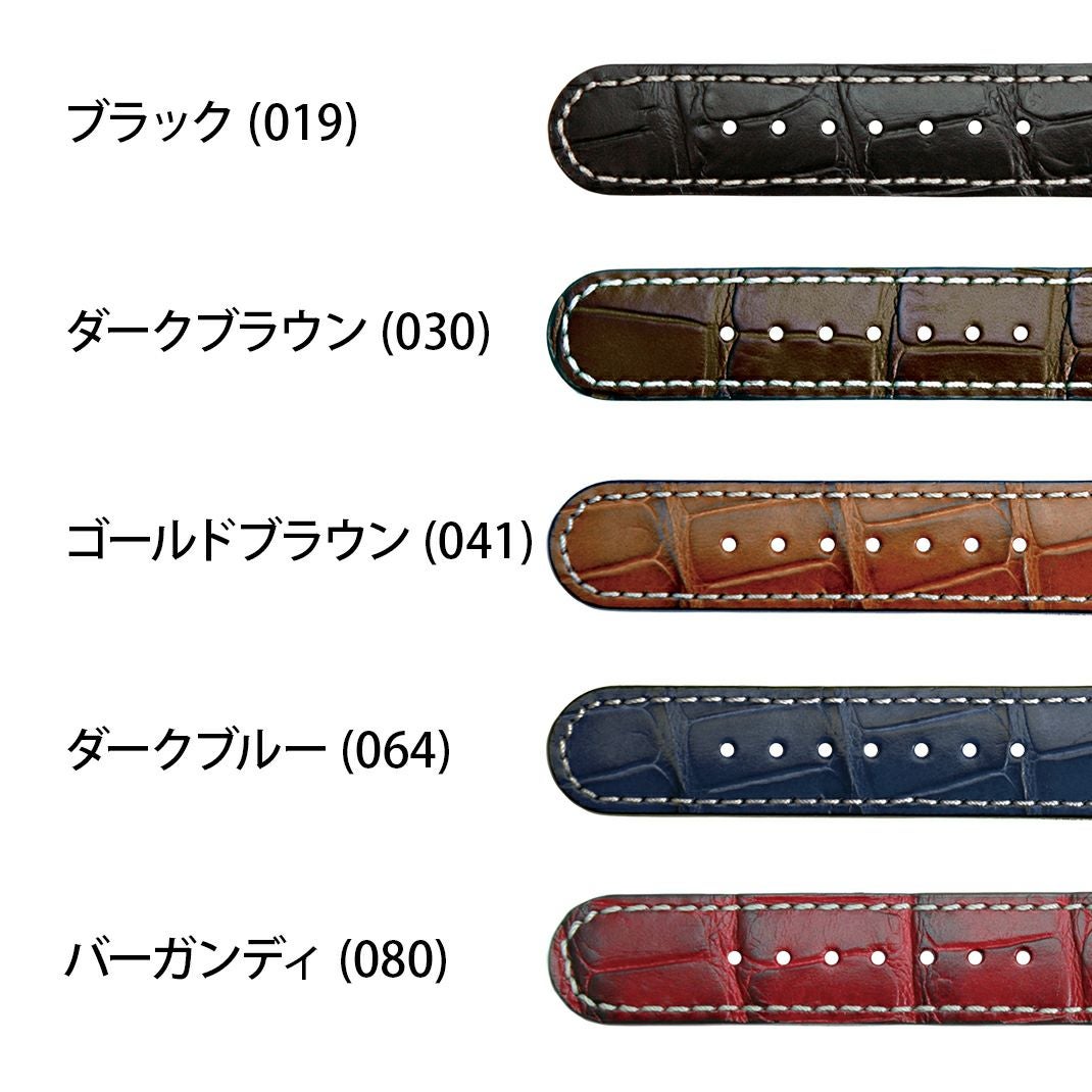 グットゥーゾ カラーバリエーション