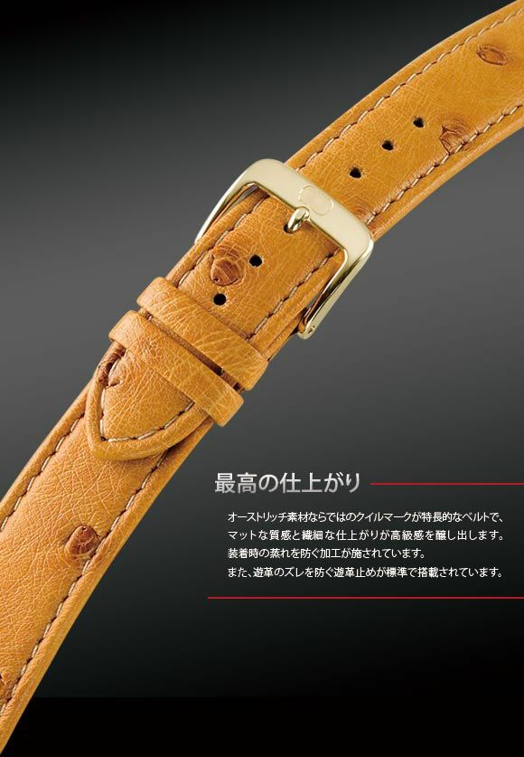 オーストリッチ 腕時計ベルト ダークブラウン 20mm-18mm OST-39 aw_ef4551ff-0ce2-4288-9cdc-
