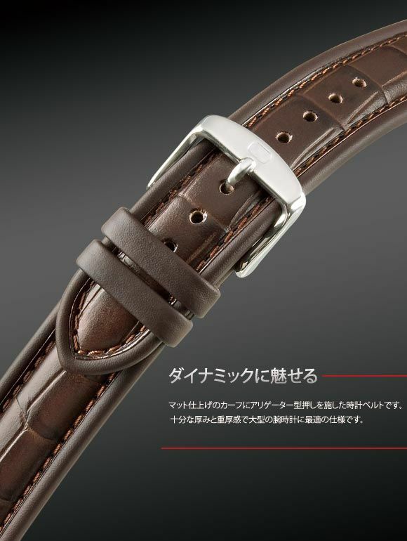 【美品】Paulin Neo 自動巻き腕時計 箱付 純正ベルト＋カスタムベルト PROMASTER CITIZEN シチズン プロマスター 純正 ラバー ベルト NY0075