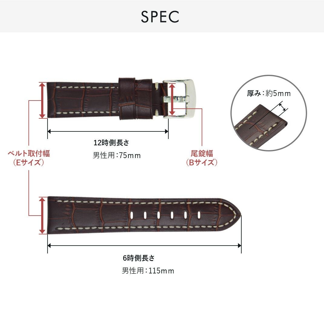 CASSIS カシス TYPE PAN タイプ パン カーフ 牛革 時計ベルト U1014008