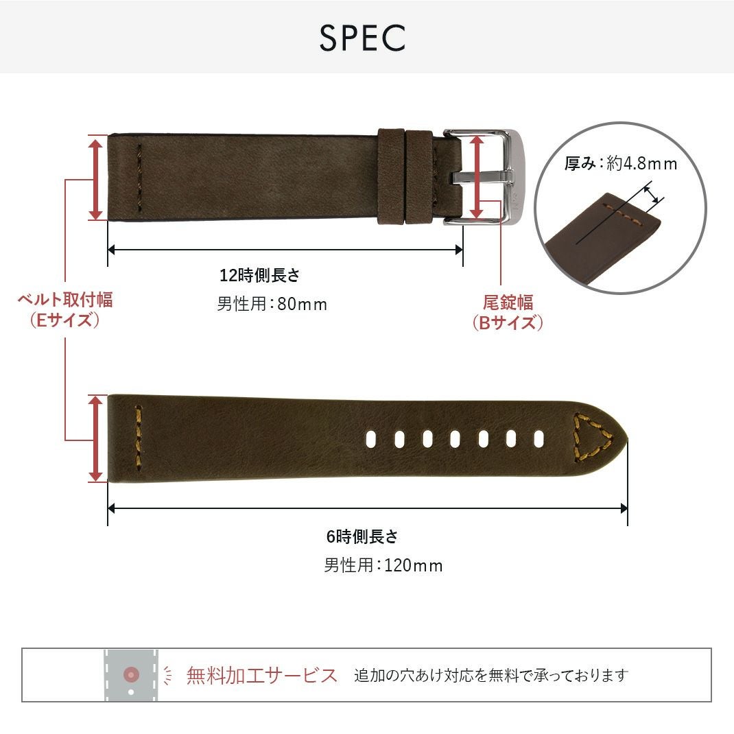 ブラマンテ細部紹介