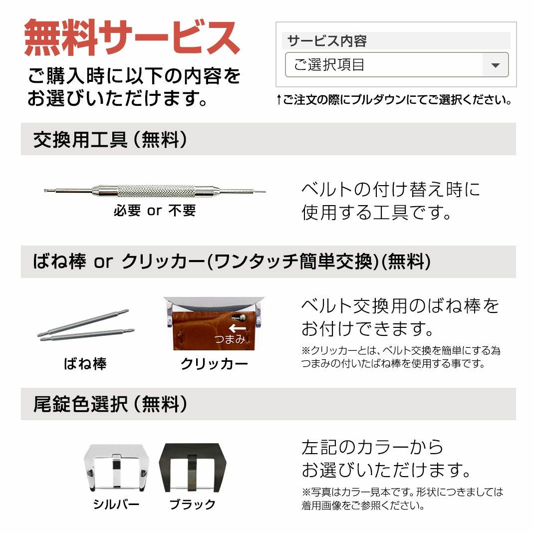 CASSIS カシス TYPE PNR ALLIGATOR タイプピーエヌアールアリゲーター