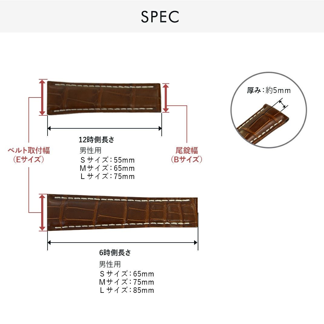 カシス TYPE RLX ALLIGATOR