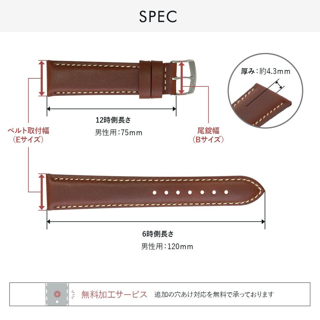 ロディウス スペック