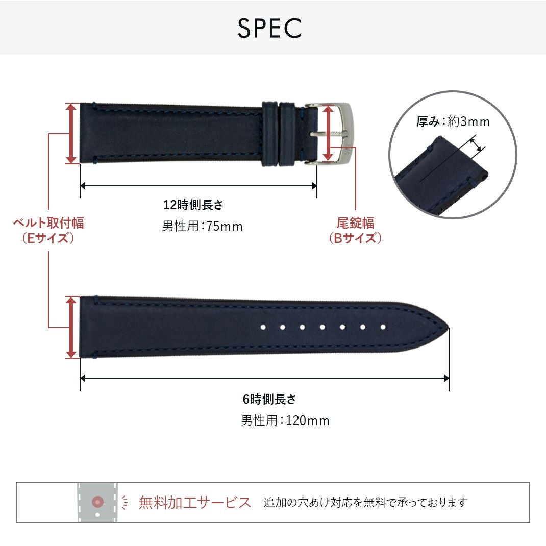 レヴィ スペック