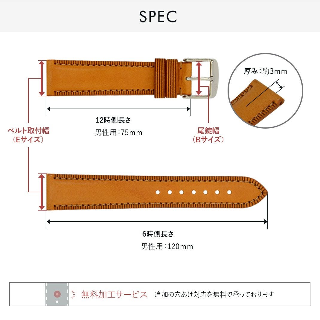 ピサーノ スペック