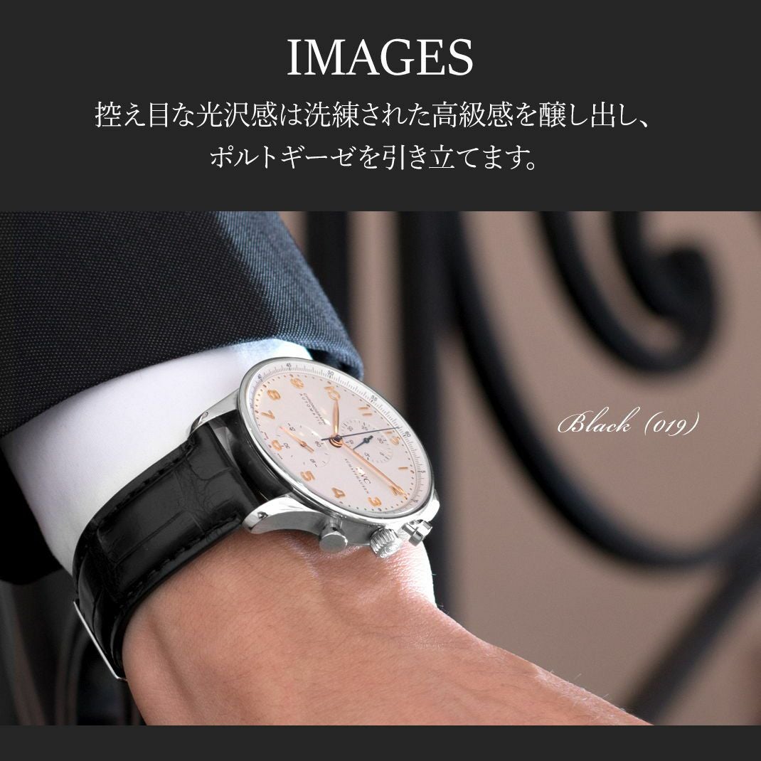 CASSIS カシス TYPE POR タイプ ピーオーアール アリゲーター ワニ革