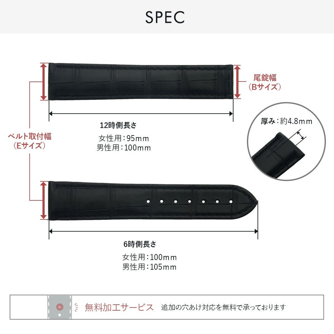 タイプ オーエムジー スペック