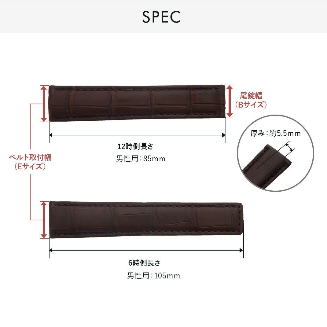 タイプ ティージーエイチ スペック