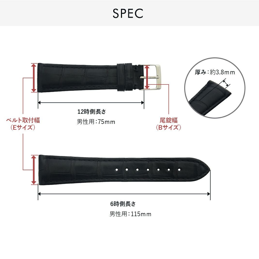 タイプ ピーティーケー スペック