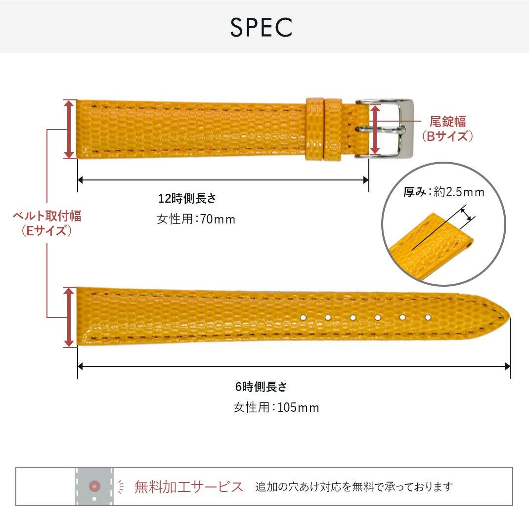 シチズン ウィッカ CITIZEN WICCA にぴったり DONNA Lizard Calf スペック