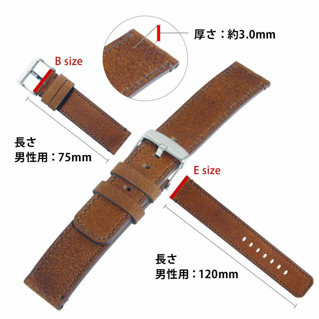 CELLINI(チェリーニ) スペック