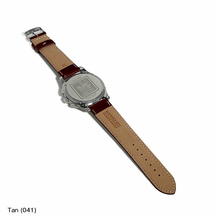 ハミルトン　ジャズマスター HAMILTON JazzMaster にぴったり RODIUS 装着イメージ