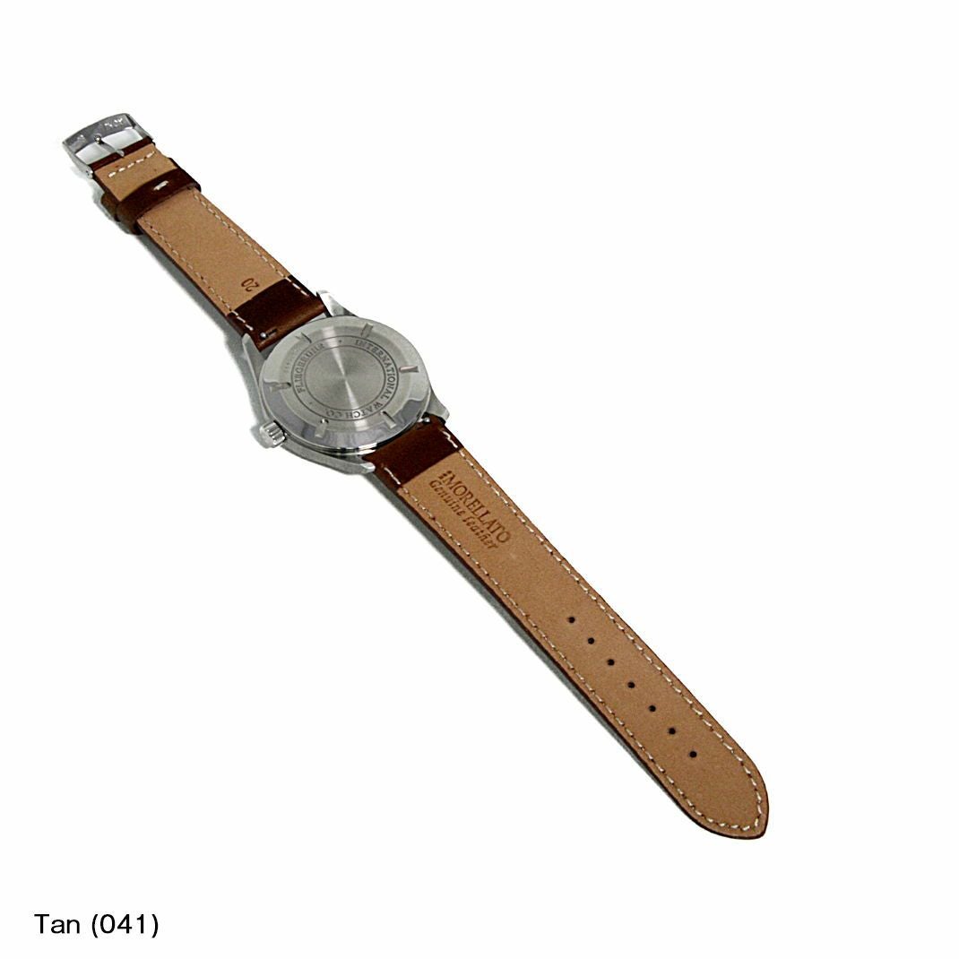 IWC　マーク IWC MARK にぴったり RODIUS 装着イメージ