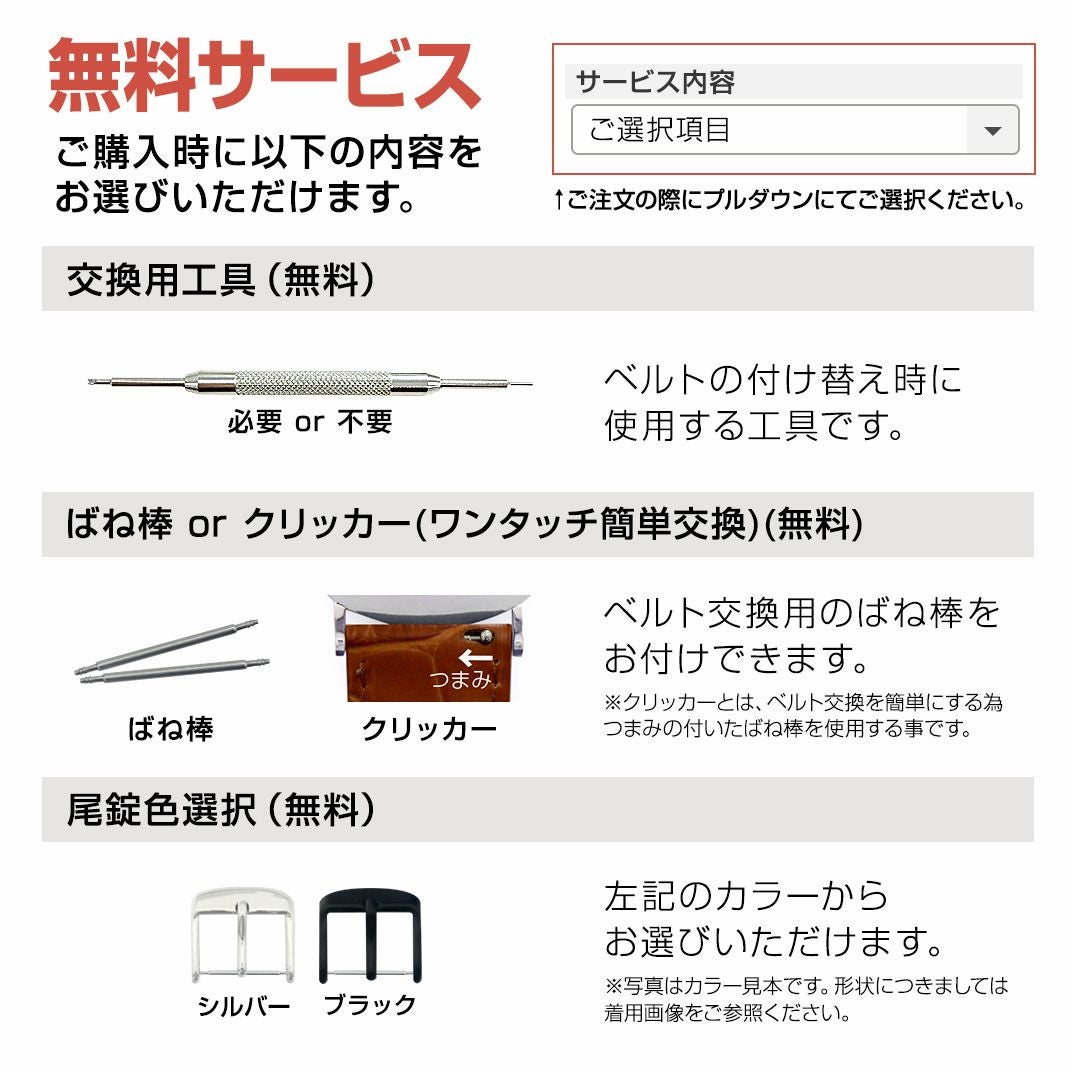 CASSIS カシス NURNBERG ニュルンベルク カーフ 牛革 時計ベルト