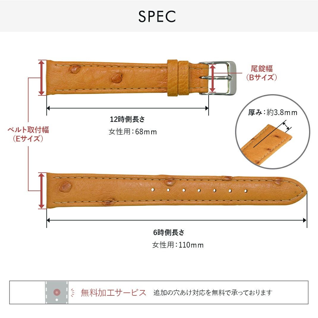 カシス腕時計ベルト BIELEFELD(ビーレフェルト) カラーバリエーション