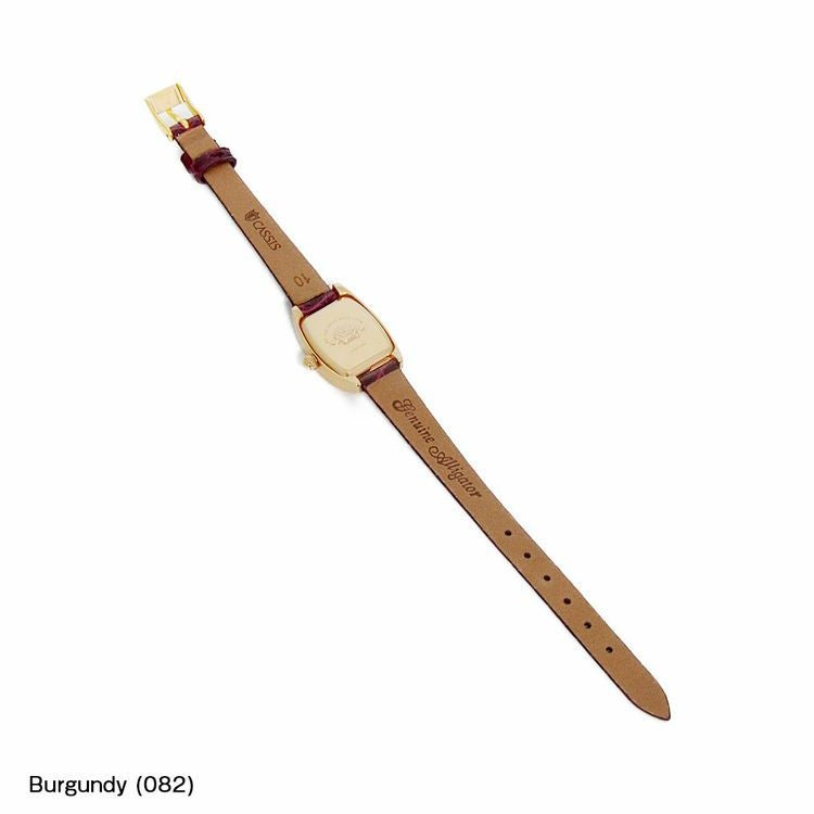 ロゼモン Rosemont にぴったり RIOM shiny 装着イメージ